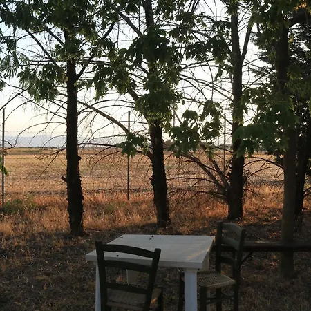 Bed & Breakfast Albachiara